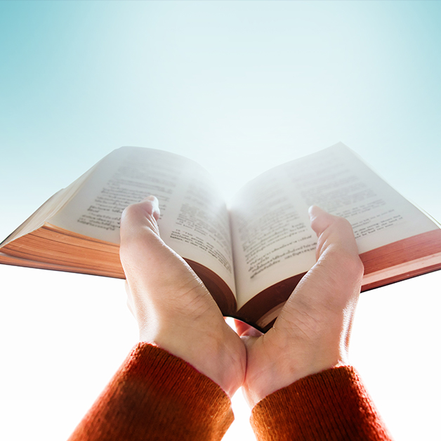 Те, кто остался по ту сторону листа